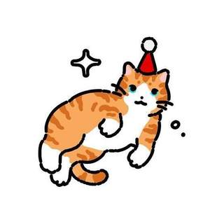 Orange cat with a red party hat