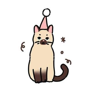 Cat with a party hat