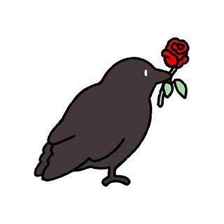 Black crow holding a red rose