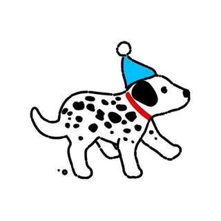 Dalmatian dog with a party hat